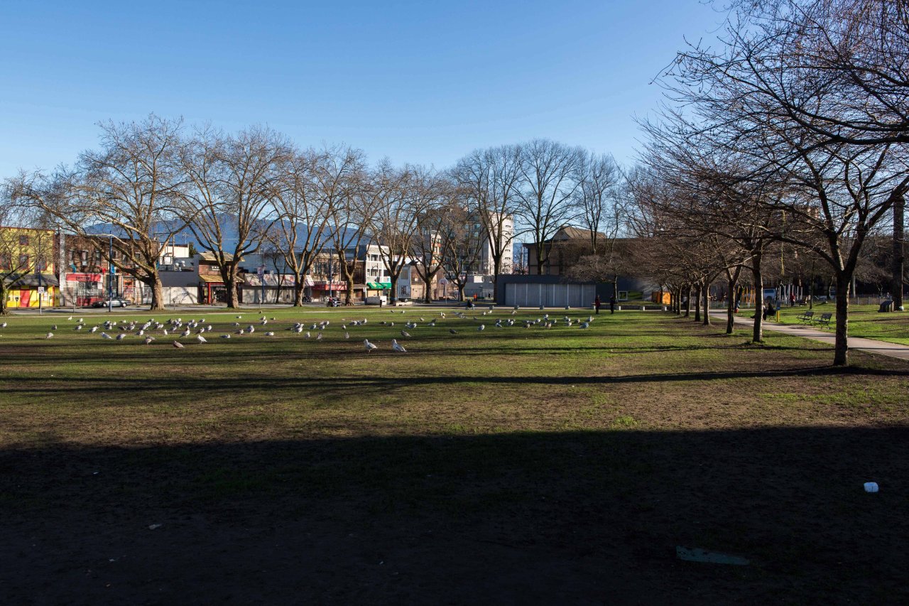 Oppenheimer Park, 488 Powell St. Credit: Brian Kipp