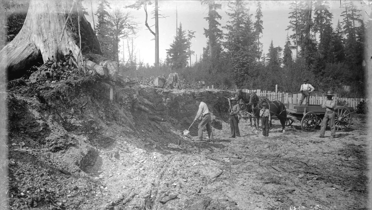 Workers clearing through X̱wáy̓x̱way Midden in 1888 (Lumberman’s Arch) for road construction. This construction tore through the ancient midden, misplacing shell and even bone, to make a road. The shell failed as a road, and was eventually repaved. Source: City of Vancouver Archives SGN 91