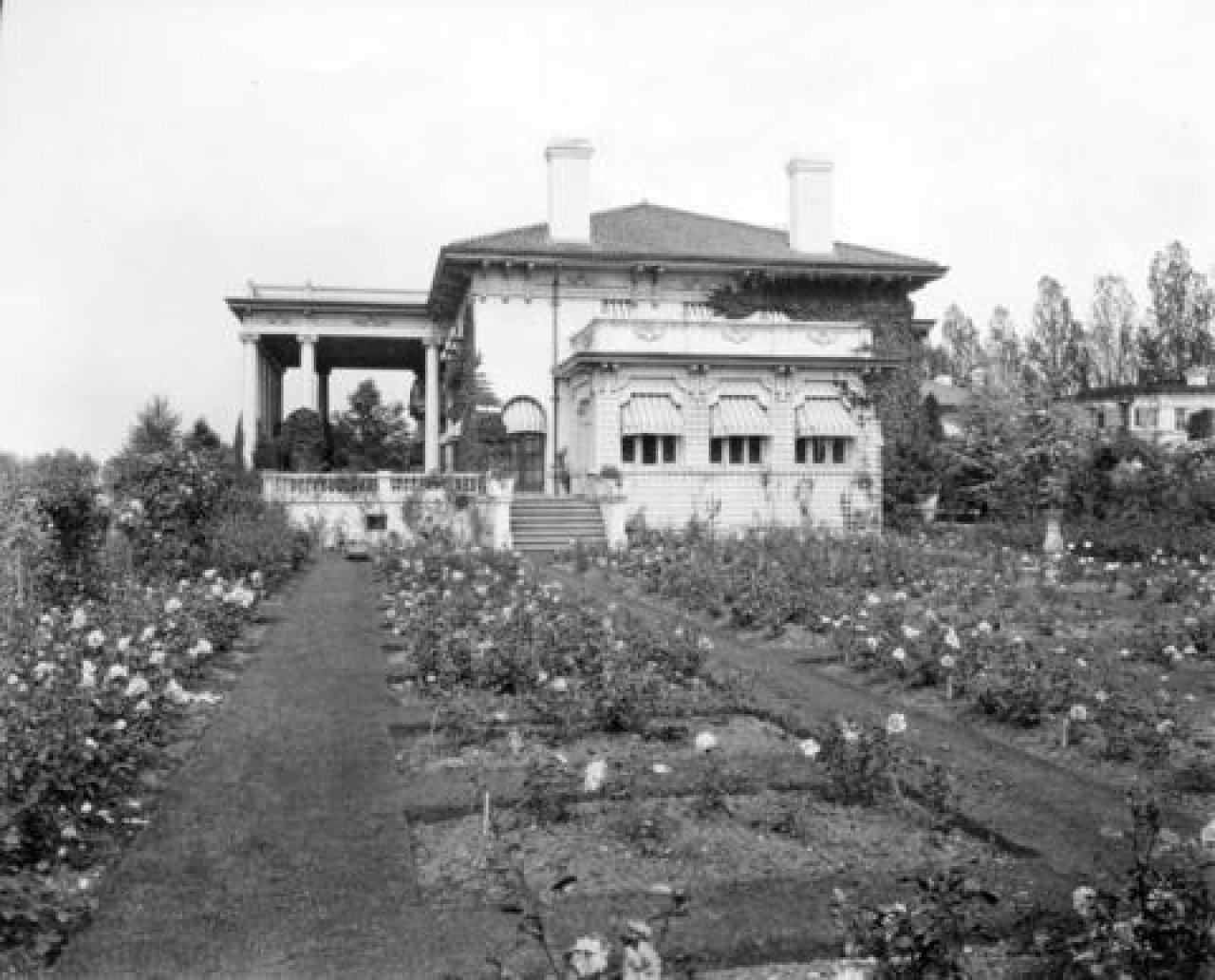 Hycroft Rose Garden 1922
Source: City of Vancouver Archives Item : Bu P567 - [The rose garden at the A.D. McRae residence (