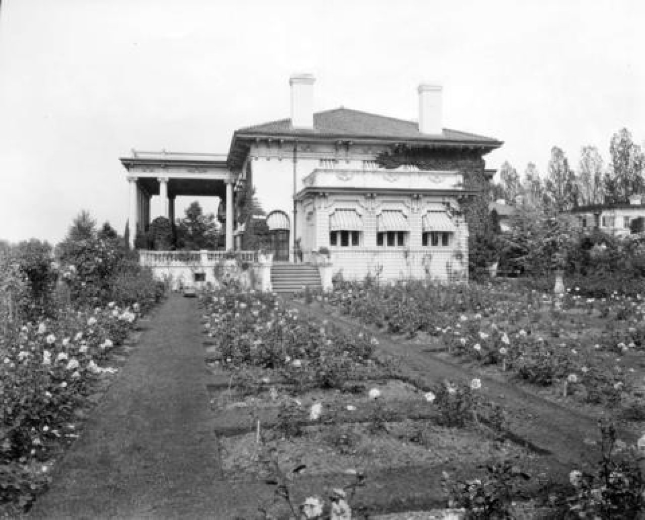 Hycroft Rose Garden 1922
Source: City of Vancouver Archives Item : Bu P567 - [The rose garden at the A.D. McRae residence (