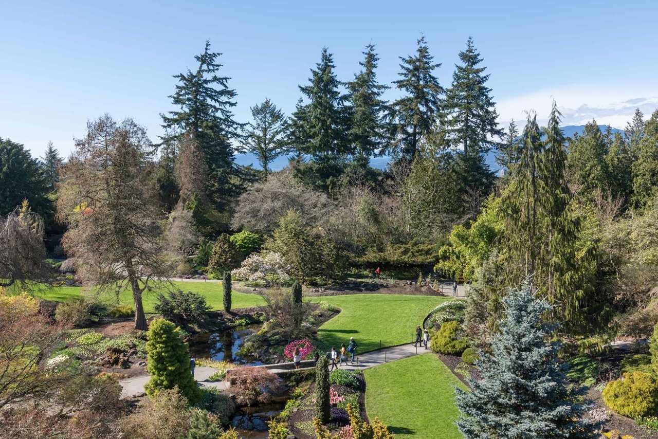 Gardens at Queen Elizabeth Park, 2019. Credit: Rob Atkins