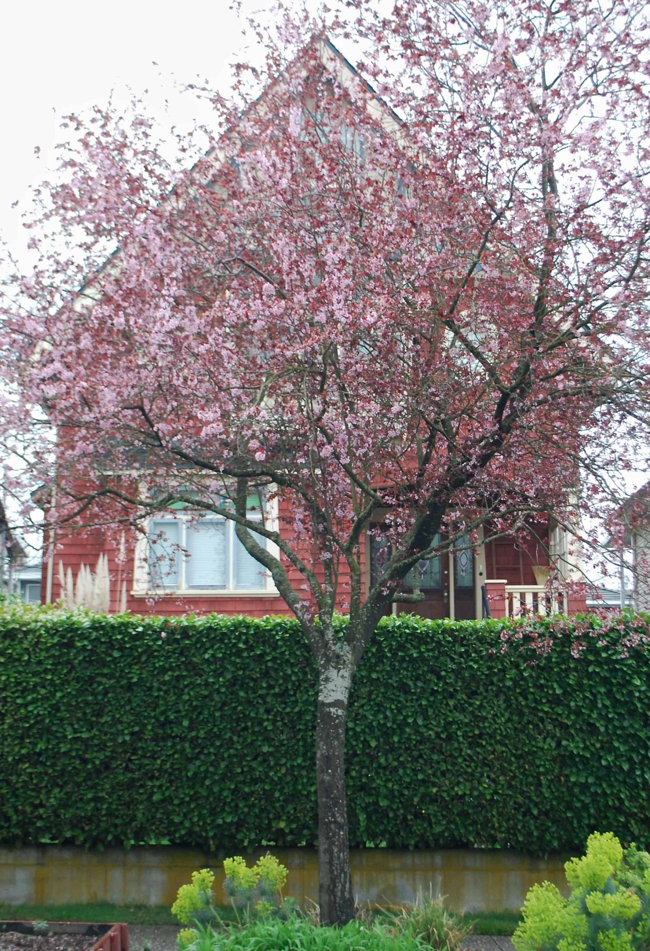 Vancouver Heritage Site Finder